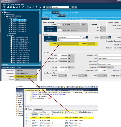 no-data-job-assembly-custom-field