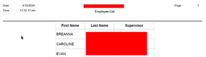 SSRS Report Page 1