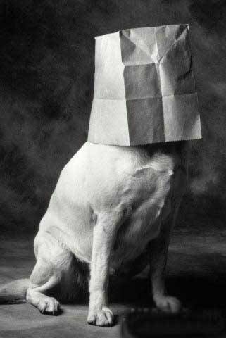 DOGsack